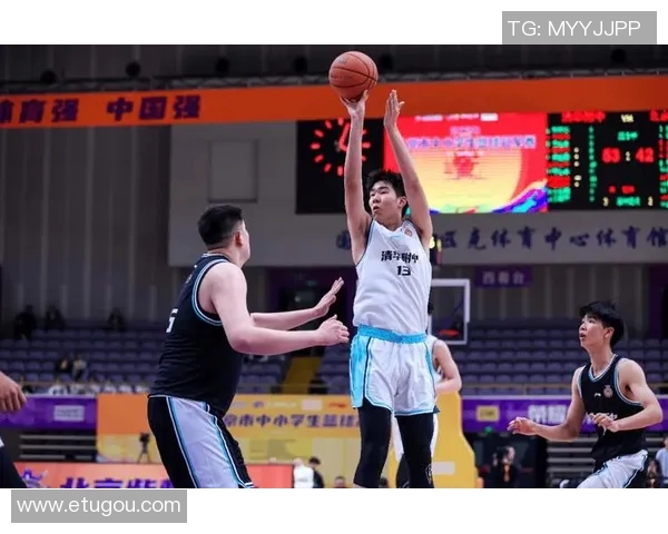 城市篮球的拼搏之路：北京队在联赛中的荣耀与挑战