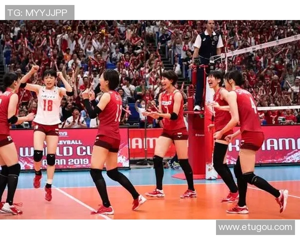 广州排球队实力深度剖析与其他球队的对比分析